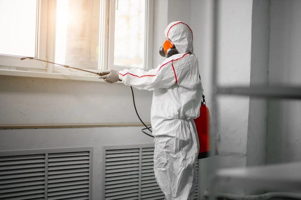 Professional mold remediation services in New Lenox, IL